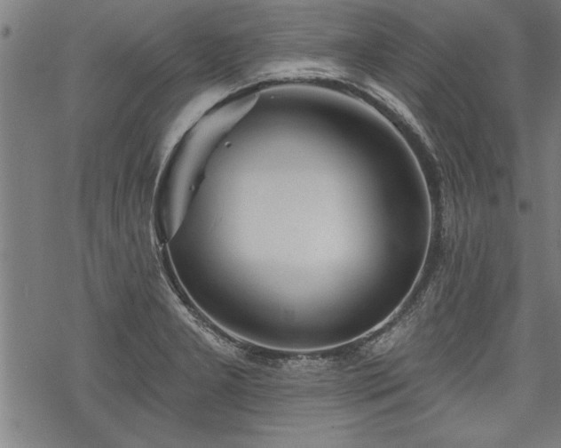 X0000069791277200605221105