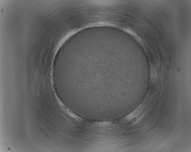 X0000069791278200605221105