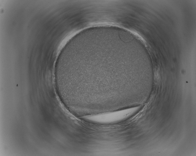 X0000069791279200605221105