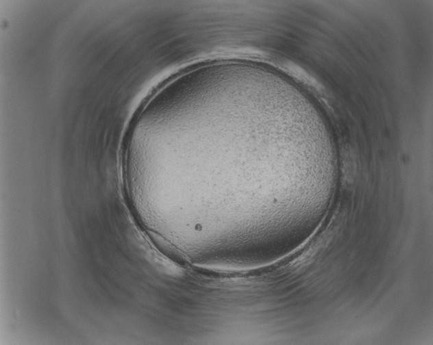 X0000069791280200605221105