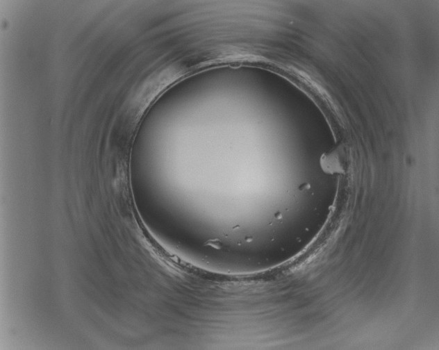 X0000069791281200605221105