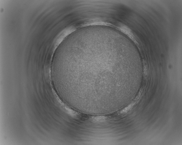 X0000069791282200605221105