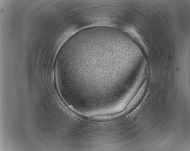 X0000069791284200605221105