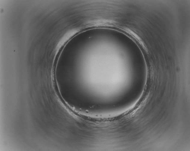 X0000069791285200605221105