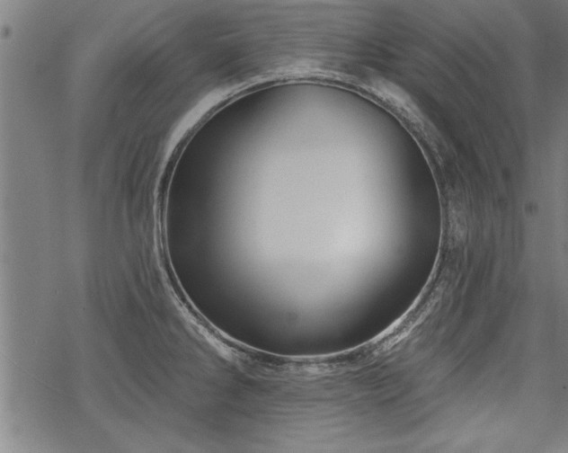 X0000069791286200605221105