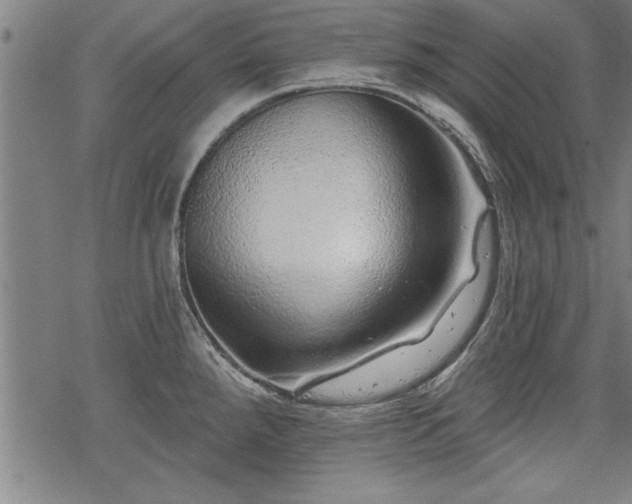 X0000069791288200605221105