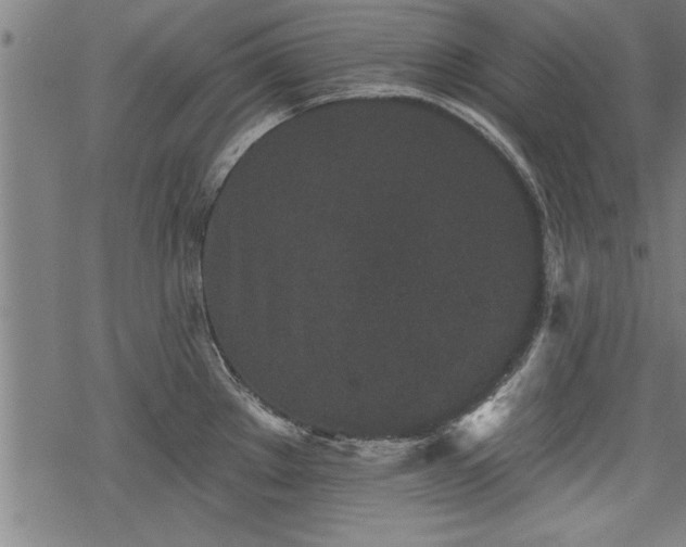 X0000069791289200605221105