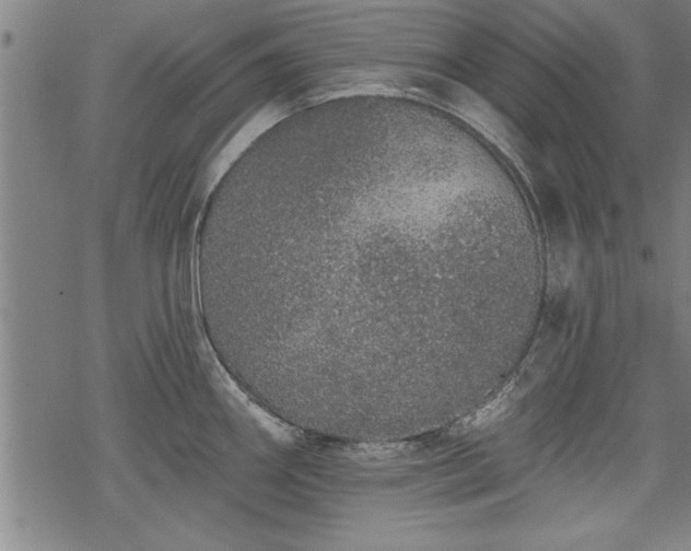 X0000069791290200605221105