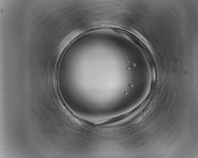 X0000069791293200605221105