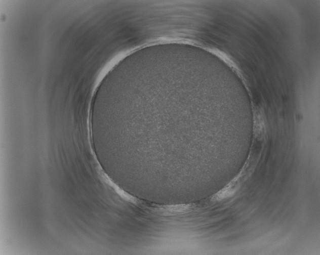 X0000069791294200605221105