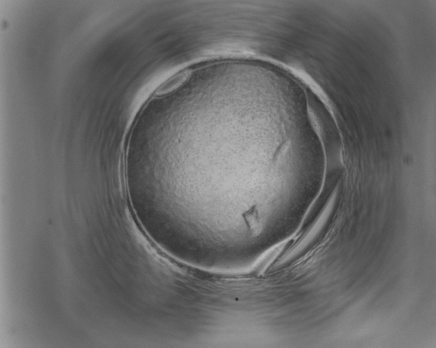 X0000069791295200605221105