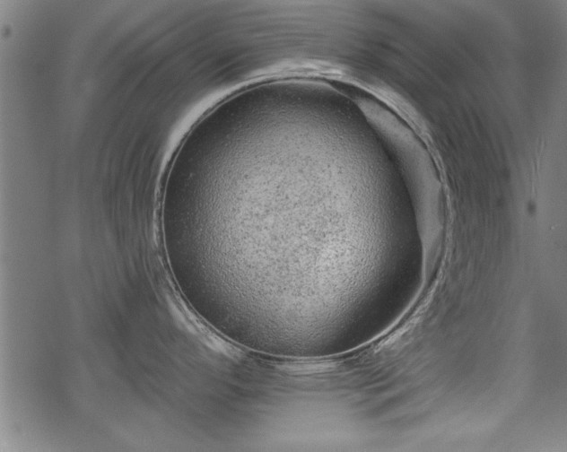 X0000069791296200605221105