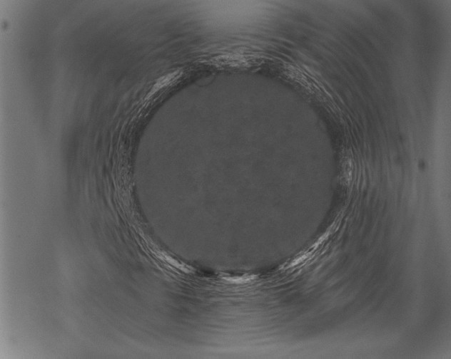 X0000069791297200605221104