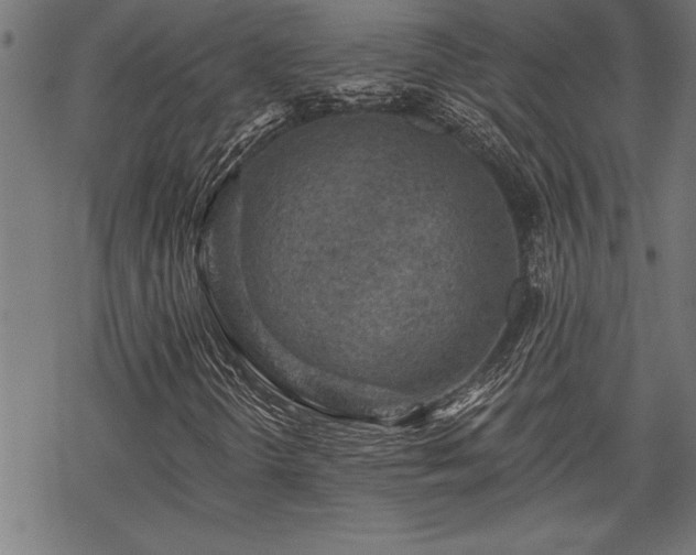 X0000069791298200605221104