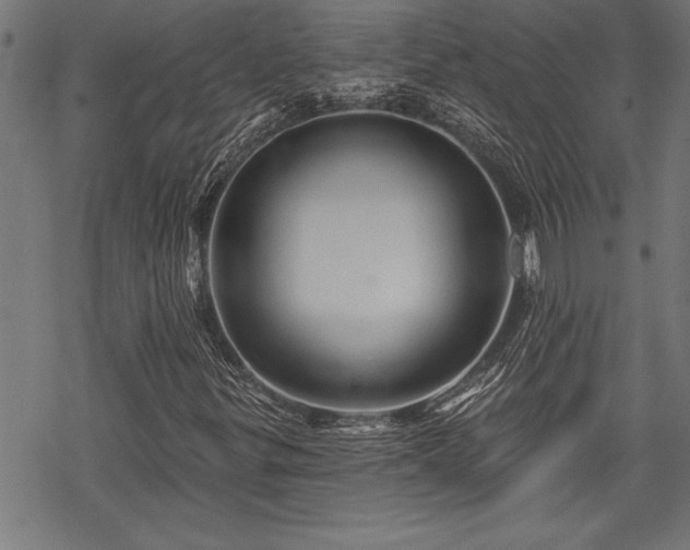 X0000069791299200605221104