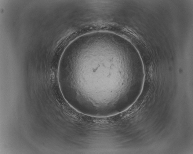 X0000069791302200605221104