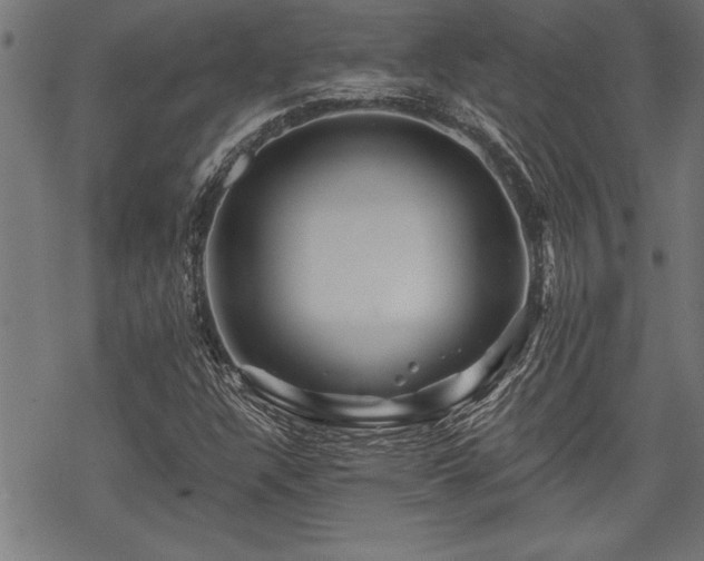 X0000069791304200605221104