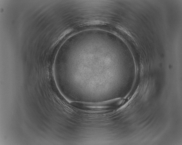 X0000069791305200605221104