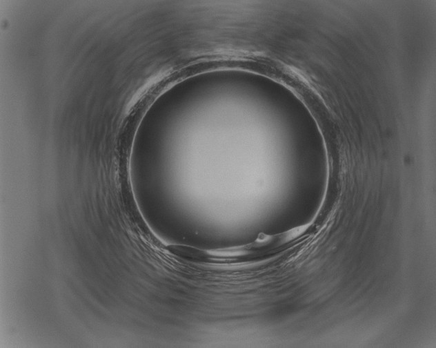 X0000069791307200605221104