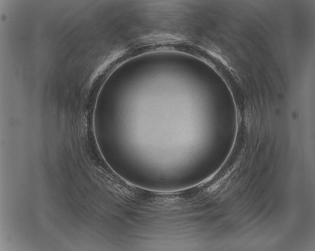 X0000069791309200605221104