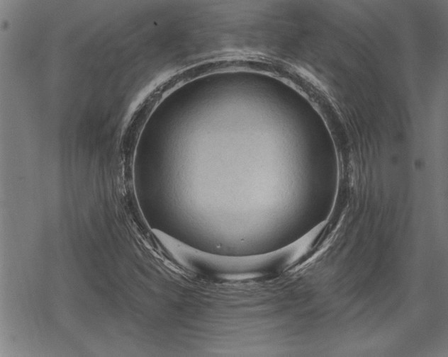 X0000069791310200605221104