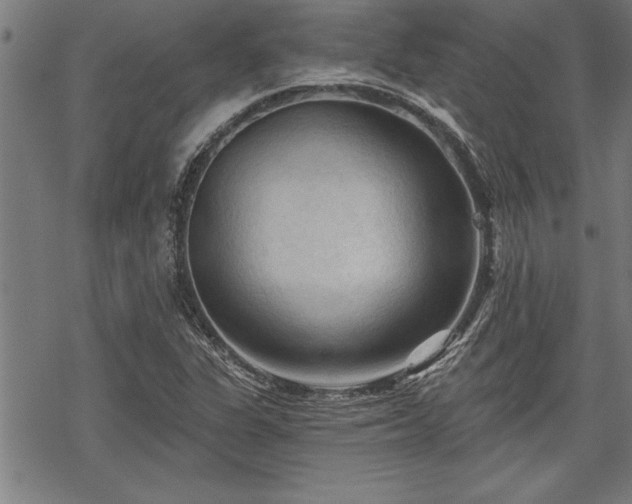 X0000069791311200605221104