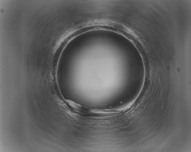 X0000069791312200605221105