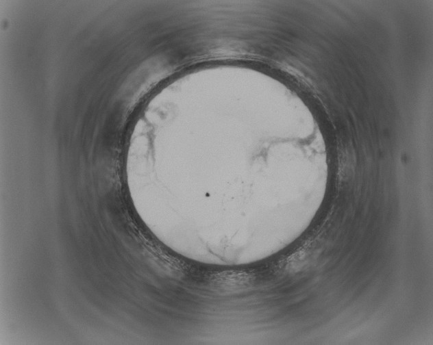 X0000069791314200605221105