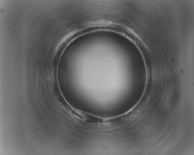 X0000069791315200605221105