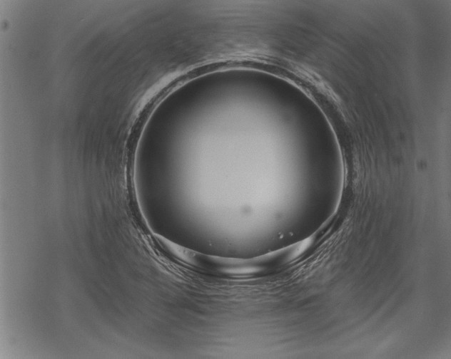 X0000069791316200605221105