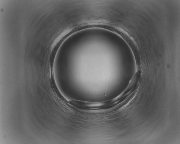 X0000069791317200605221105