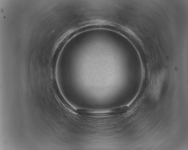 X0000069791318200605221105