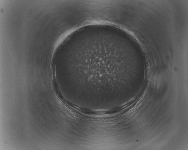 X0000069791319200605221105