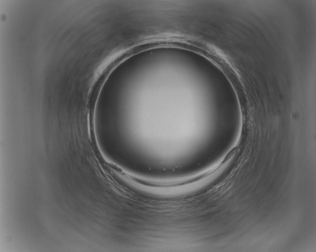 X0000069791320200605221105