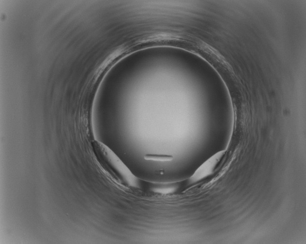 X0000069791321200605221105