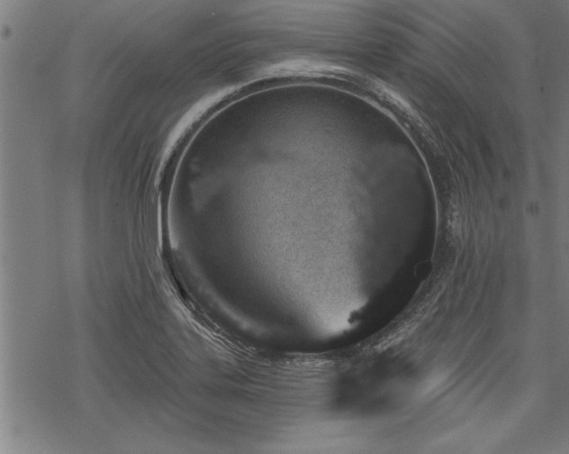 X0000069791323200605221105