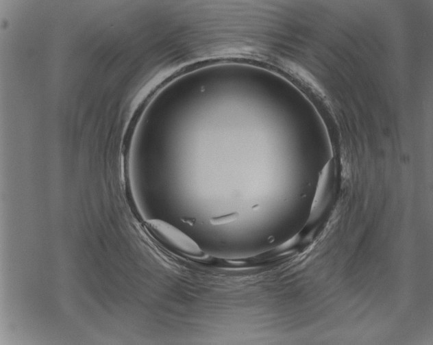 X0000069791324200605221105