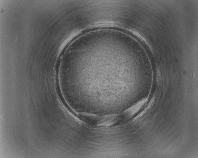 X0000069791325200605221105