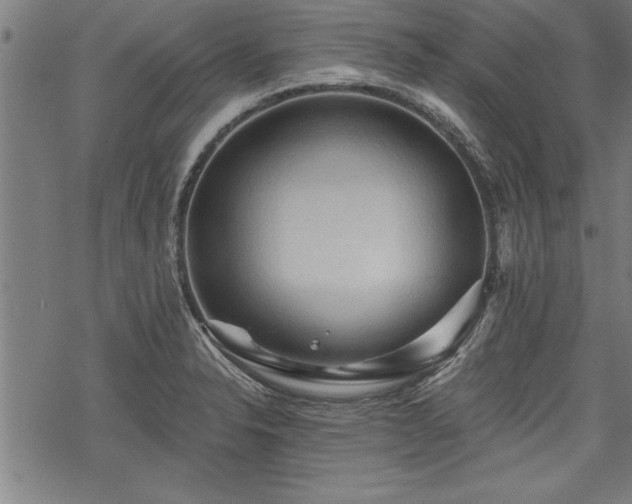 X0000069791326200605221105