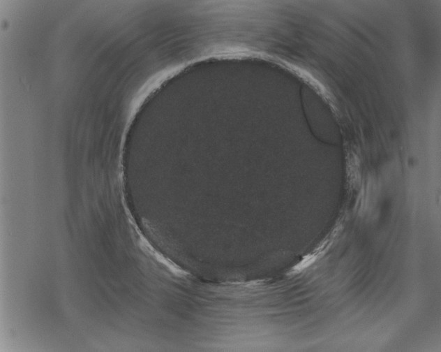 X0000069791327200605221105