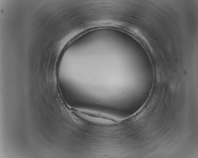 X0000069791328200605221105