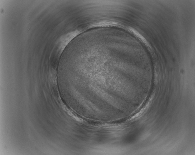 X0000069791329200605221105