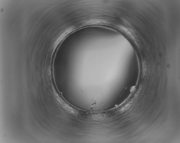 X0000069791330200605221105