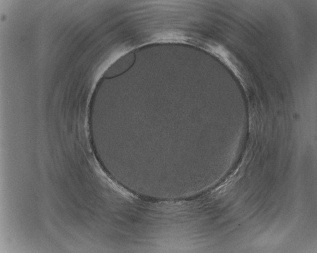 X0000069791331200605221105