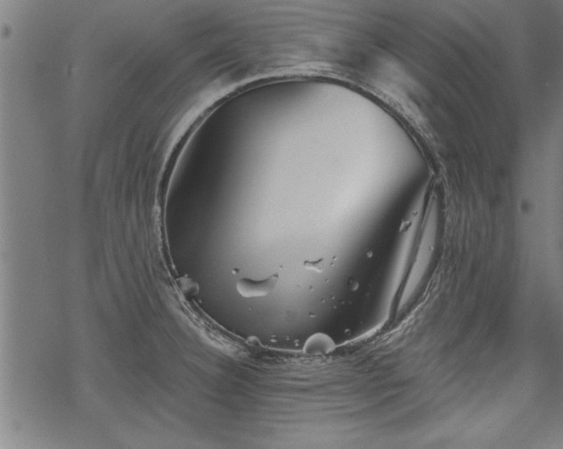 X0000069791332200605221105