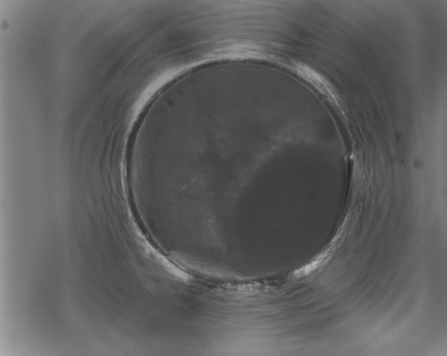 X0000069791334200605221105