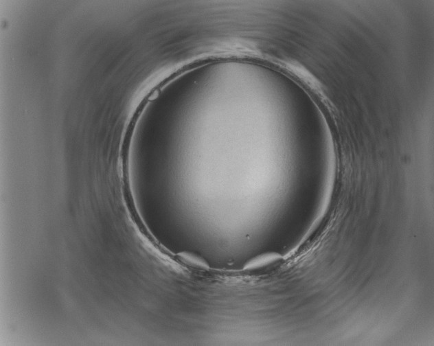 X0000069791335200605221105