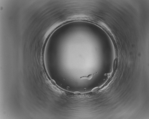 X0000069791336200605221105