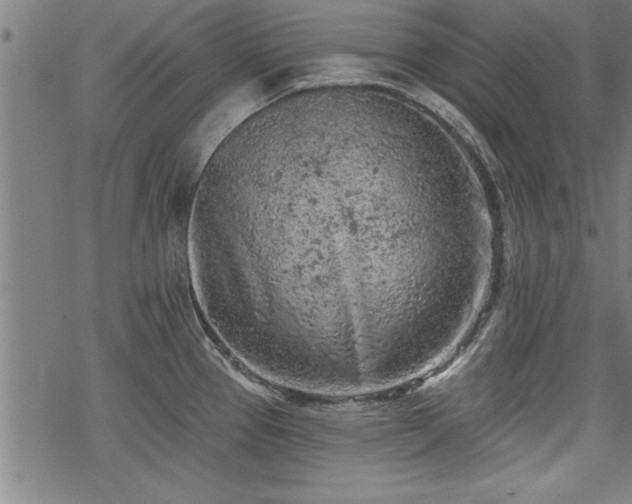 X0000069791337200605221105