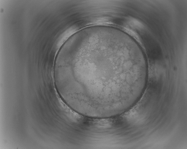 X0000069791338200605221105